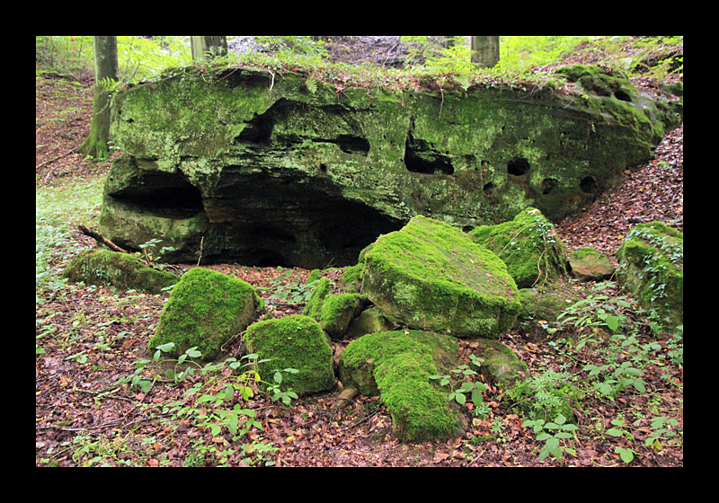 Bemooste Felsen (Müllerthal-Trail, Luxemburg - Canon EOS 7D)