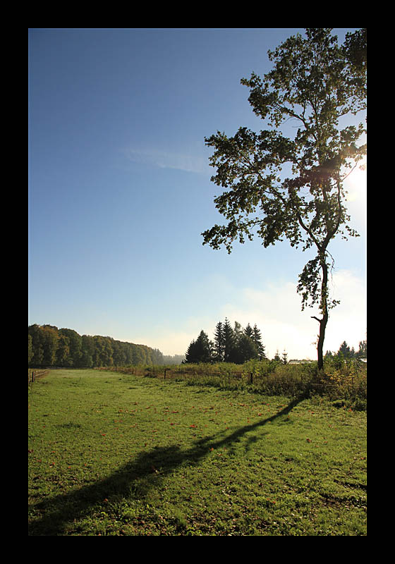 Früh (Müllerthal-Trail, Luxemburg - Canon EOS 7D)