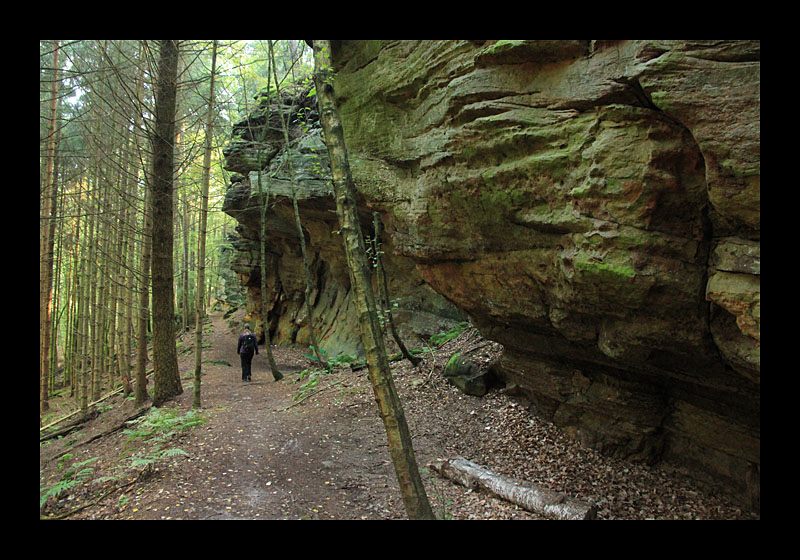 Immer an der Wand lang... (Müllerthal-Trail, Luxemburg - Canon EOS 7D)