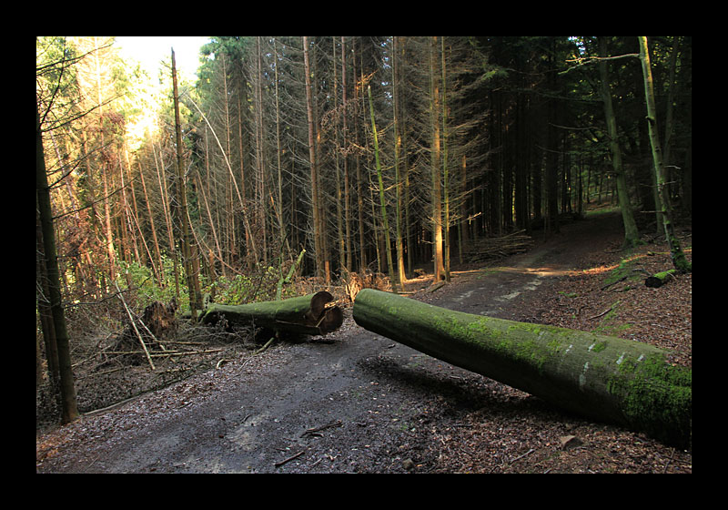 Wir machen den Weg frei (Müllerthal-Trail, Luxemburg - Canon EOS 7D)