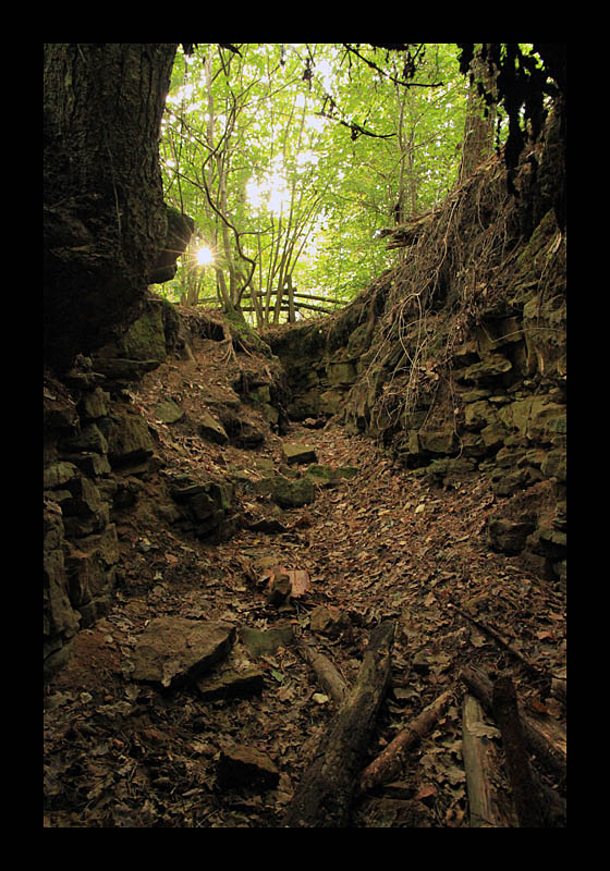 Geheimer Bunker (Echternach, Luxemburg - Canon EOS 7D)