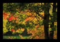 2012_09_28_luxemburg_267
