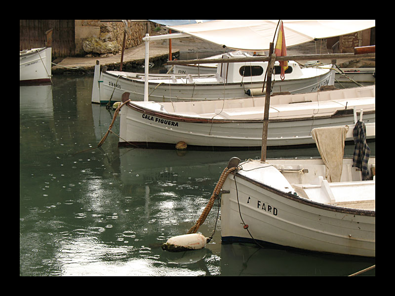 Regen (Cala Figuera - Canon PowerShot A 640)