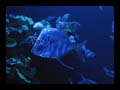 20_palma_aquarium_048