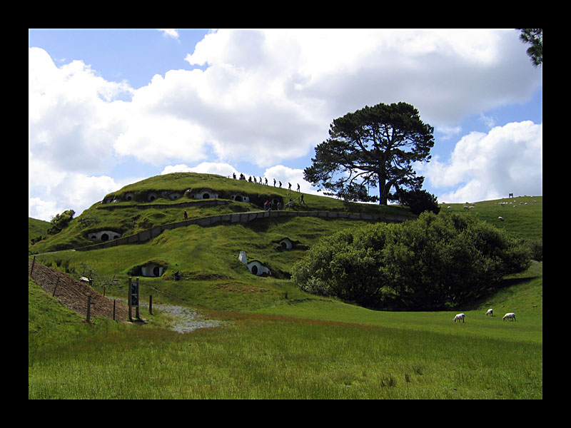 Auf dem Weg zu Bilbo Beutlin (Hobbiton, Matamata - Canon PowerShot A 95)