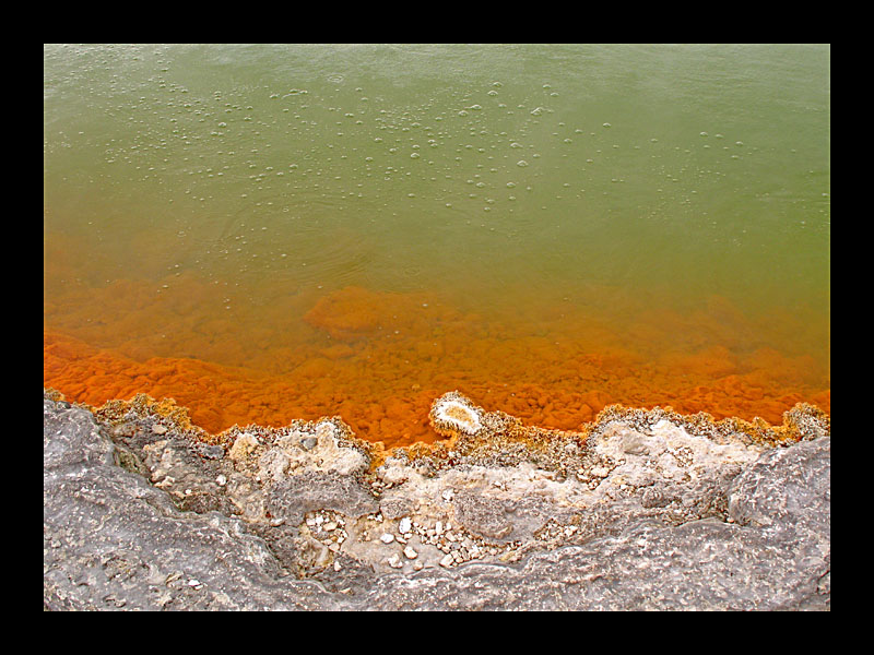 Champagner Pool (Wai O Tapu - Canon PowerShot A 640)