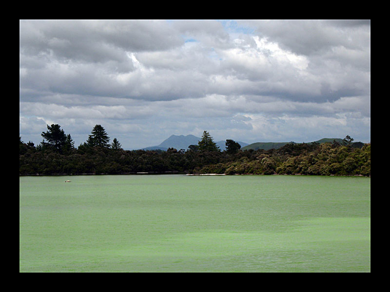 Vulkanlandschaft (Wai O Tapu - Canon PowerShot A 640)