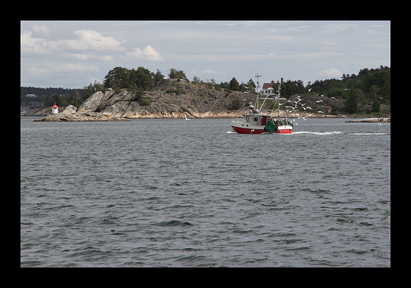 Fischkutter mit Begleitung (Risoer, Norwegen - Canon EOS 7D)