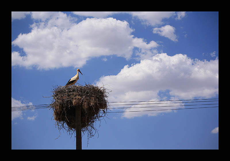 Wolkenstorchenheim (Alentejo, Portugal - Canon EOS 1000D)