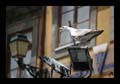 34_porto_146
