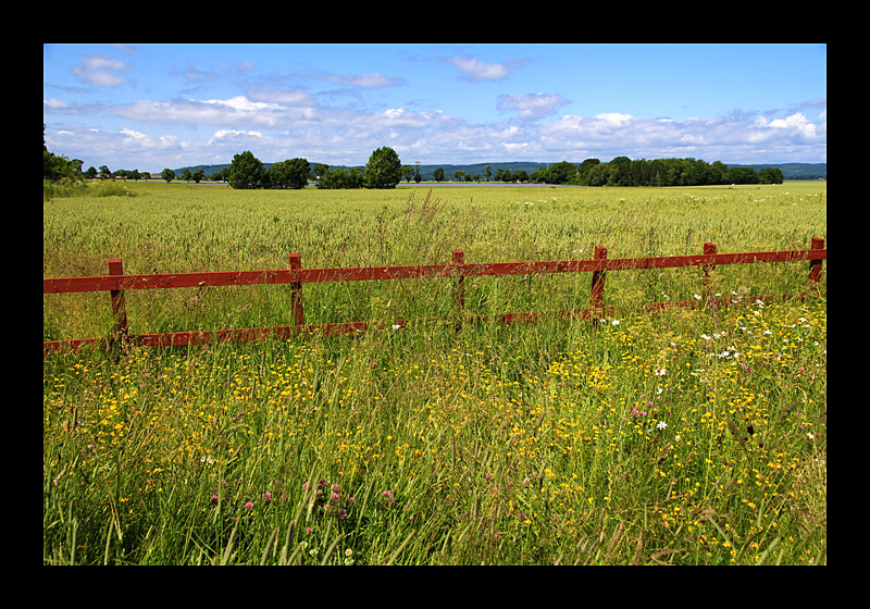 Auf dem Land (Rök, Schweden - Canon EOS 7D)