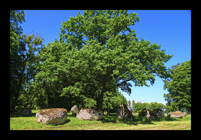 Steinkreis (Nässja, Schweden - Canon EOS 7D)