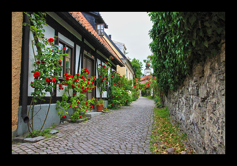 Stadt der Ruinen und Rosen I (Visby, Schweden - Canon EOS 7D)