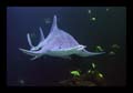 04_universeum_043