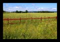 12_runenstein_roek_004