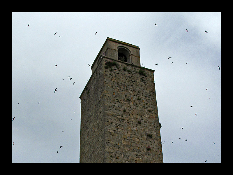 Schwalbenflug (San Gimignano - Canon PowerShot A 640)