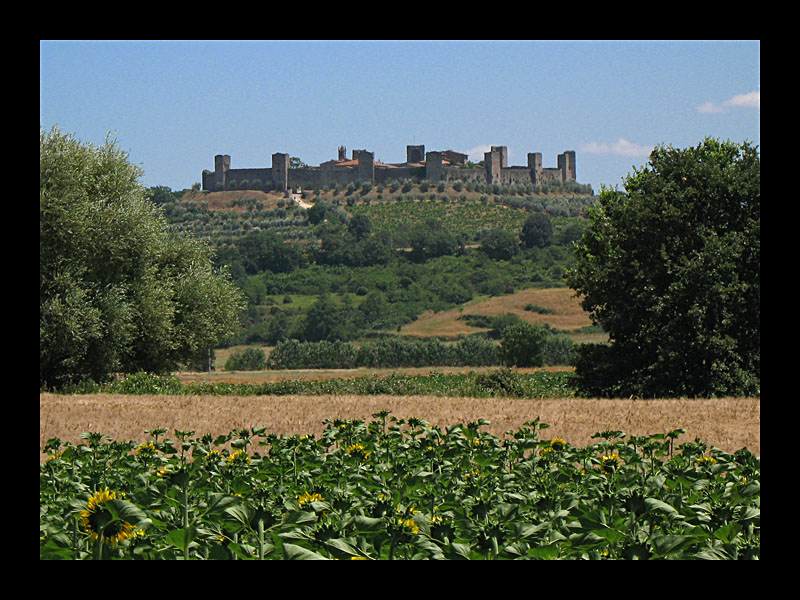 Bollwerk (Monteriggioni - Canon PowerShot A 640)