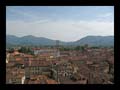 05_lucca_016