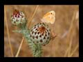 23_cosa_023