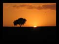 27_abendliche_toskana_011